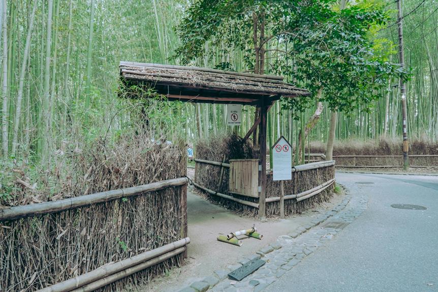 suicide hotspot in japan